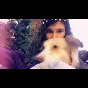 Meet your Posher, Bailey